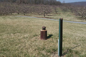 Supply well in orchard