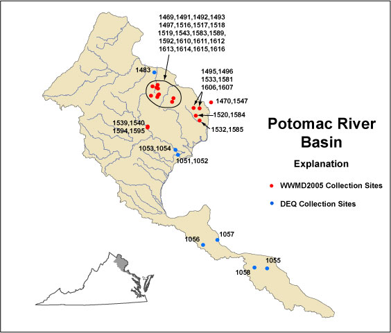 Potomac Basin