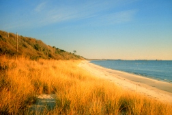Coastal Plain Scene