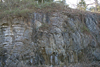 Rock outcrop showing fold