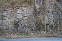 Rock outcrop showing fractures and fold
