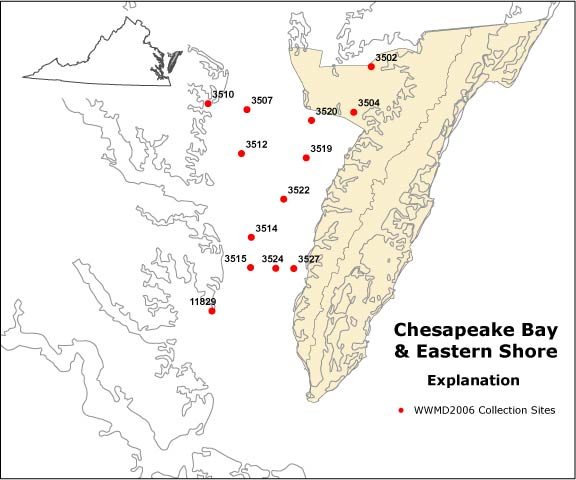 Eastern Shore/Chesapeake Bay